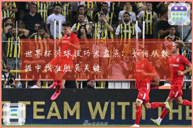 世界杯买球技巧大盘点：如何从数据中找准胜负关键