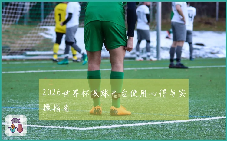 2026世界杯滚球平台使用心得与实操指南