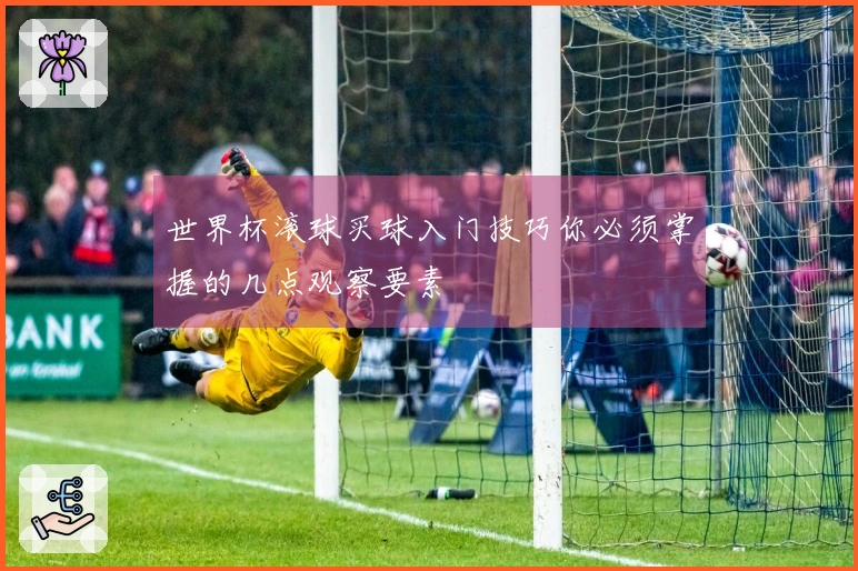 世界杯滚球买球入门技巧你必须掌握的几点观察要素