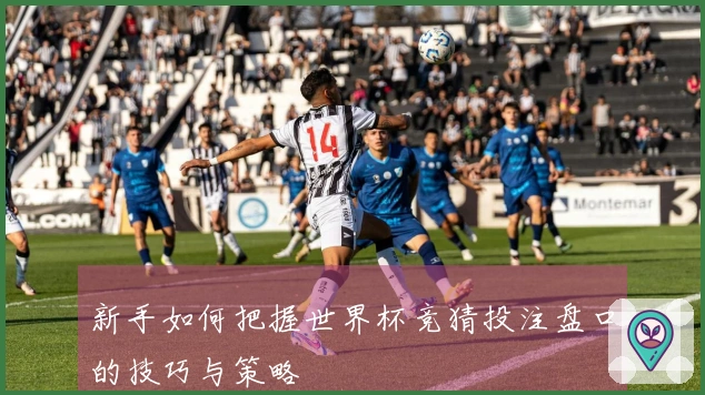 新手如何把握世界杯竞猜投注盘口的技巧与策略