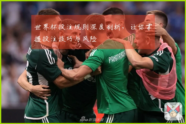 世界杯投注规则深度剖析，让你掌握投注技巧与风险