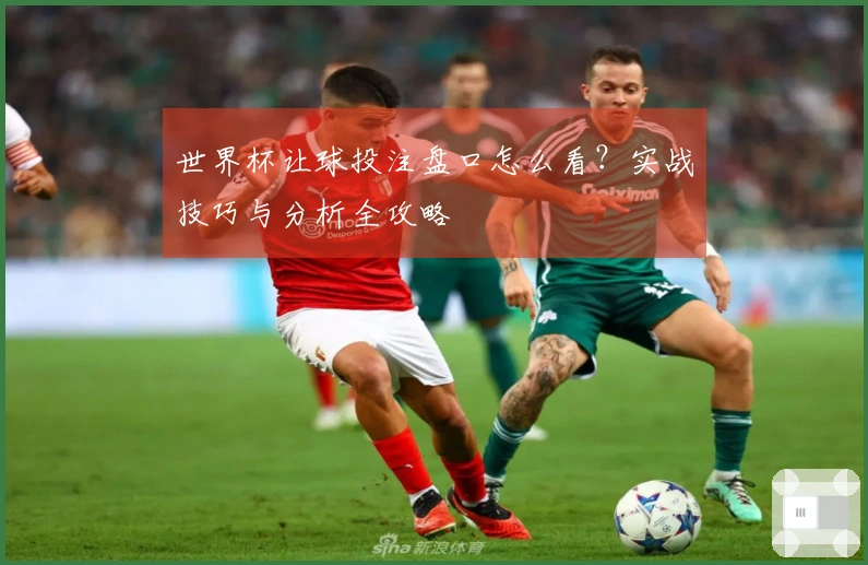 世界杯让球投注盘口怎么看？实战技巧与分析全攻略