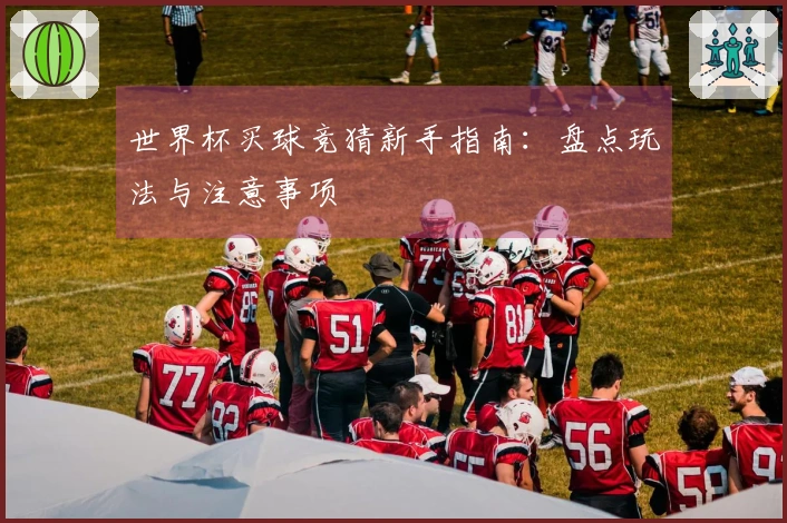 世界杯买球竞猜新手指南：盘点玩法与注意事项