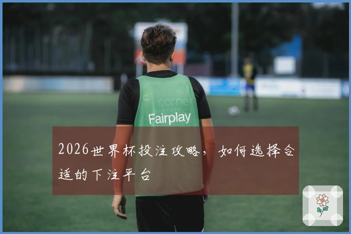 2026世界杯投注攻略，如何选择合适的下注平台