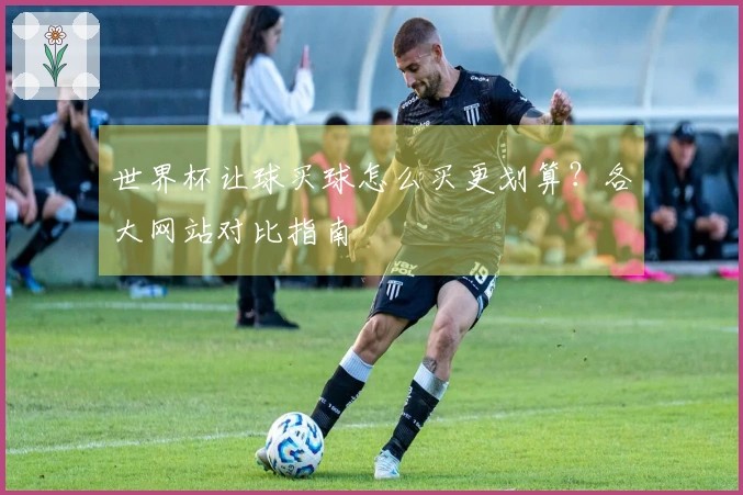 世界杯让球买球怎么买更划算？各大网站对比指南