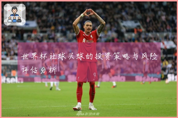 世界杯让球买球的投资策略与风险评估分析