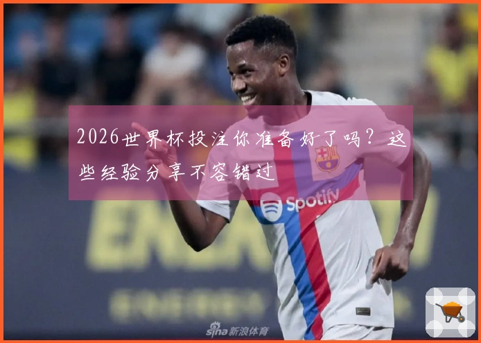 2026世界杯投注你准备好了吗？这些经验分享不容错过