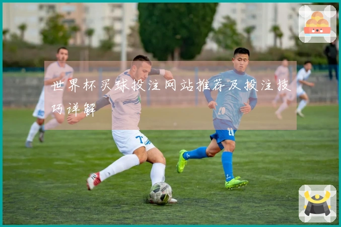世界杯买球投注网站推荐及投注技巧详解