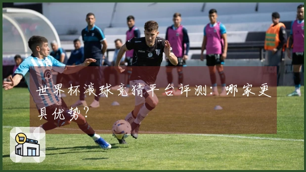 世界杯滚球竞猜平台评测：哪家更具优势？