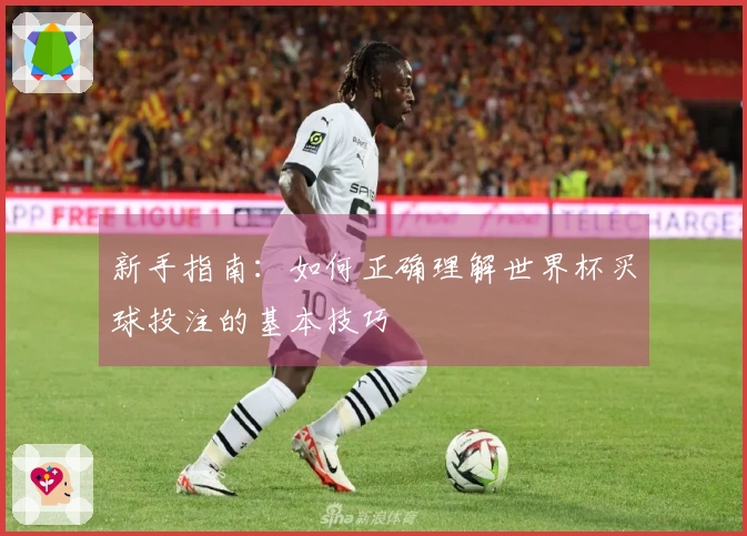 新手指南：如何正确理解世界杯买球投注的基本技巧