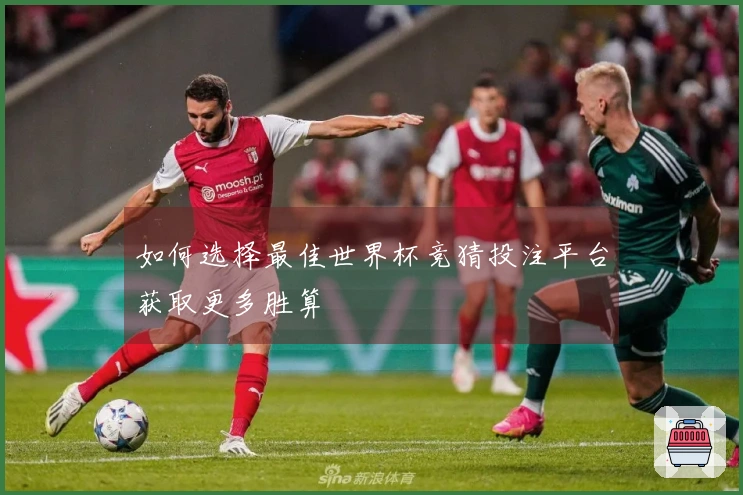 如何选择最佳世界杯竞猜投注平台获取更多胜算