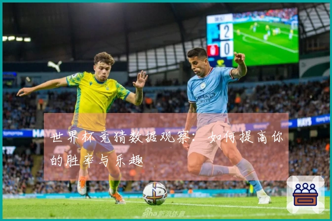 世界杯竞猜数据观察：如何提高你的胜率与乐趣