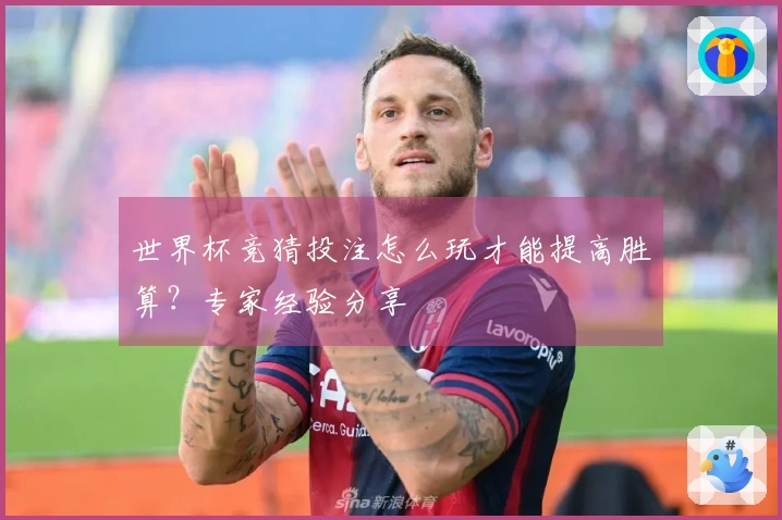 世界杯竞猜投注怎么玩才能提高胜算？专家经验分享