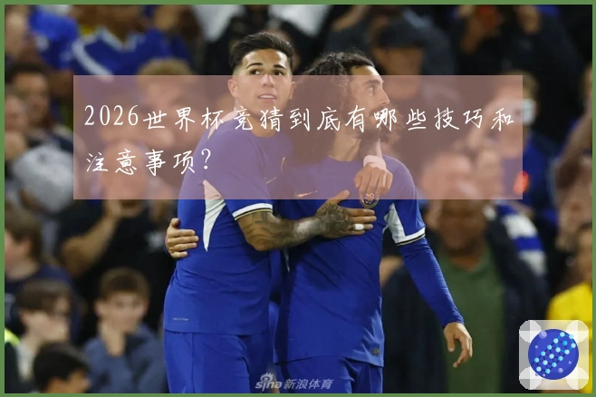 2026世界杯竞猜到底有哪些技巧和注意事项？