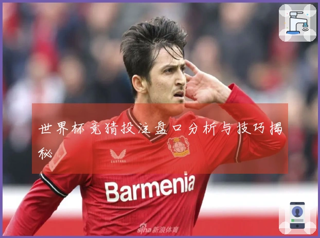 世界杯竞猜投注盘口分析与技巧揭秘