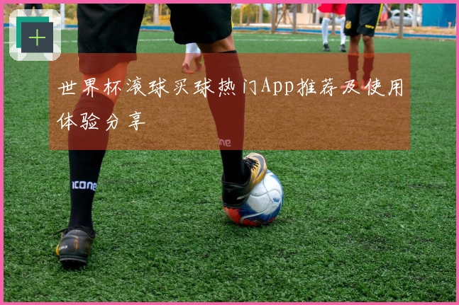 世界杯滚球买球热门App推荐及使用体验分享