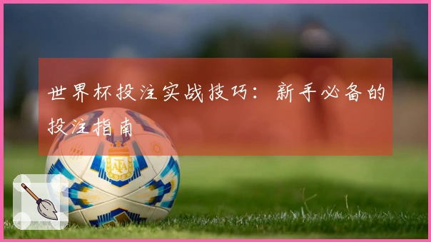 世界杯投注实战技巧：新手必备的投注指南