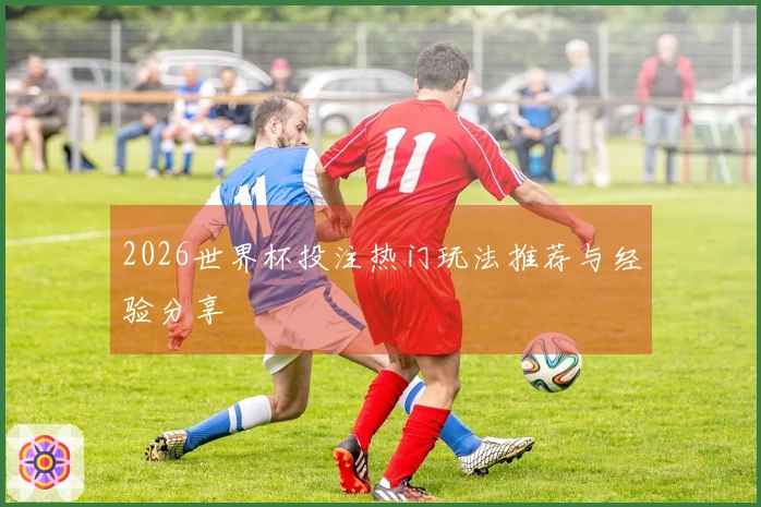 2026世界杯投注热门玩法推荐与经验分享